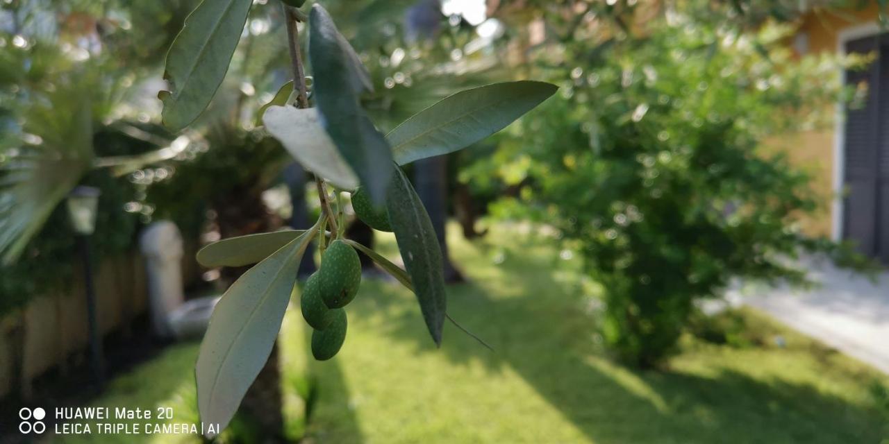 Maresole Tra L'Etna E Taormina Leilighet Mascali Eksteriør bilde